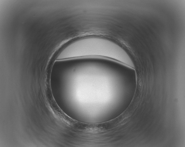 X0000081570540200701151028