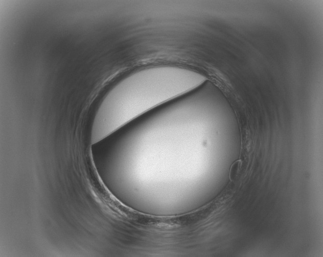 X0000081570542200701151028