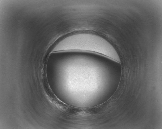 X0000081570544200701151028