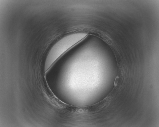 X0000081570546200701151028