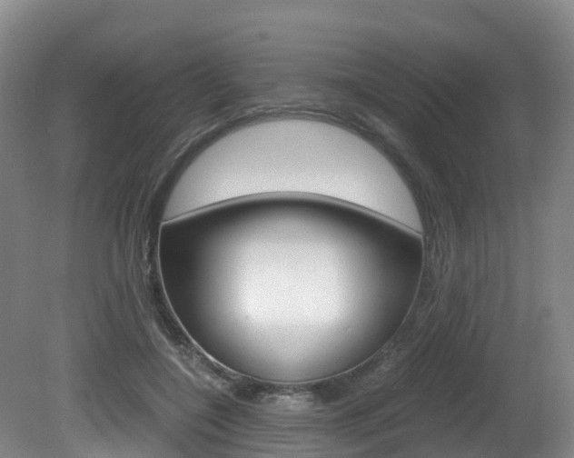 X0000081570548200701151028
