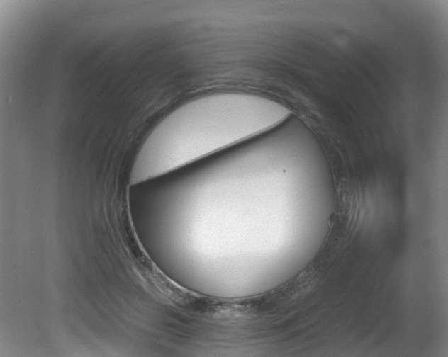 X0000081570550200701151028