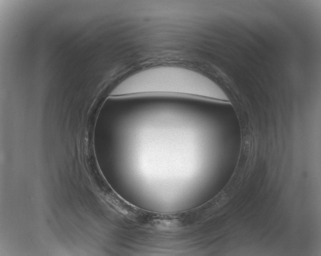 X0000081570552200701151028