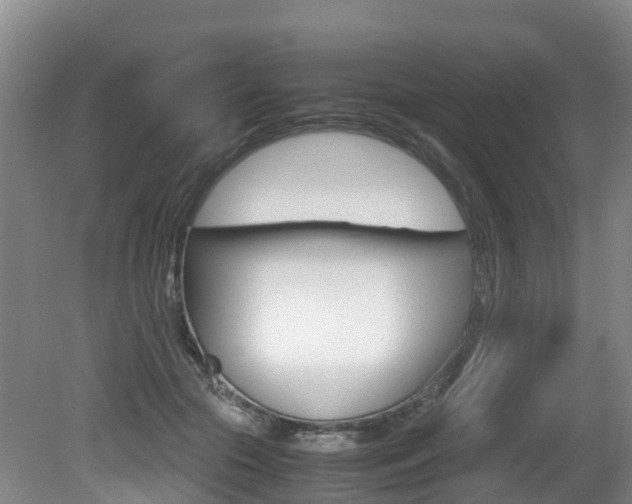 X0000081570553200701151028