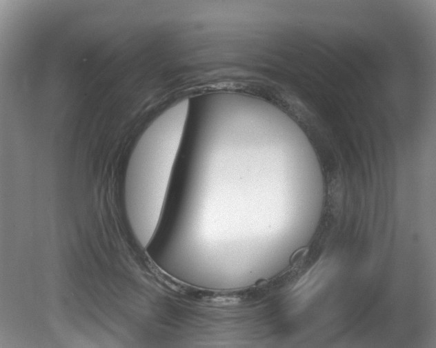 X0000081570554200701151028