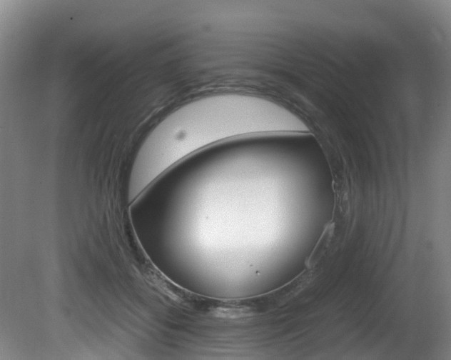 X0000081570556200701151028