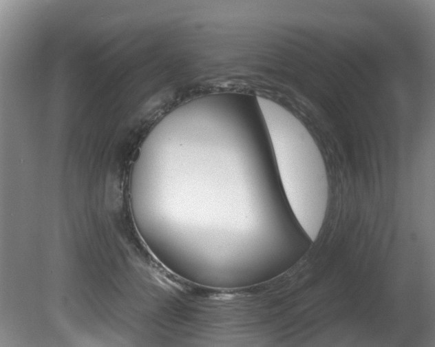 X0000081570558200701151028