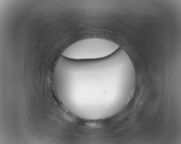 X0000081570561200701151029