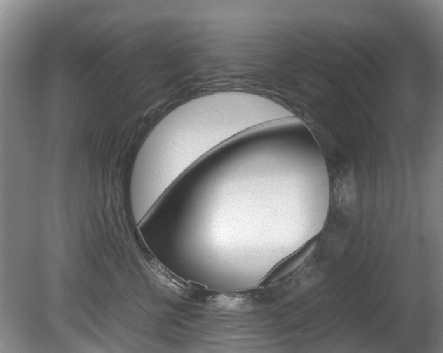X0000081570570200701151029