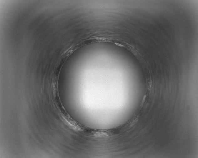 X0000081570572200701151029