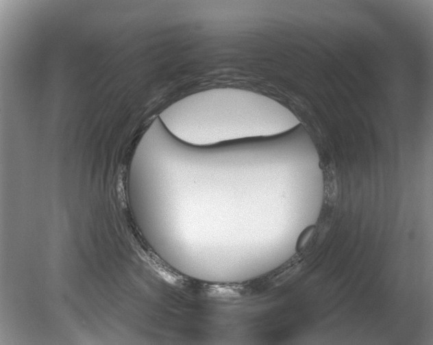 X0000081570573200701151029