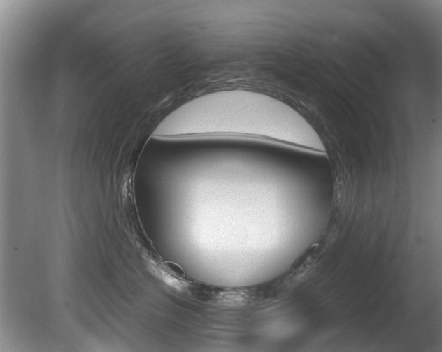 X0000081570574200701151029