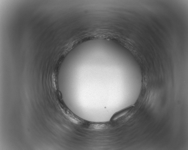 X0000081570575200701151029