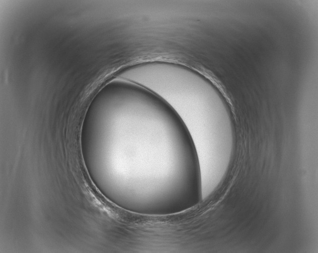 X0000081570577200701151028