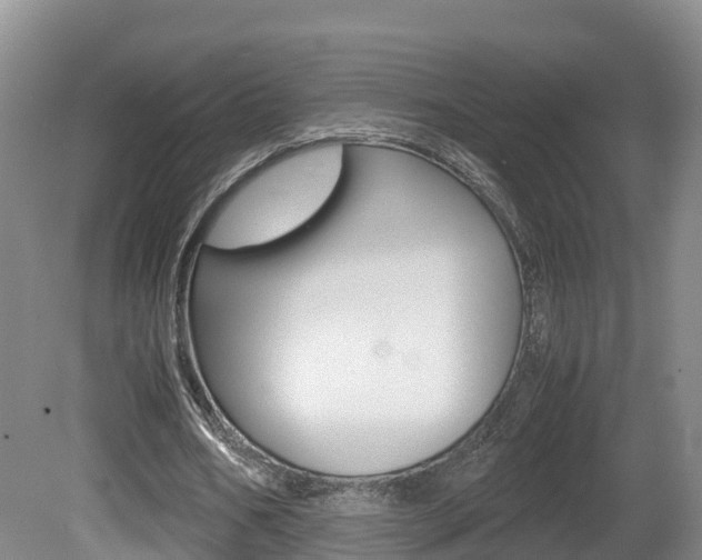 X0000081570578200701151028