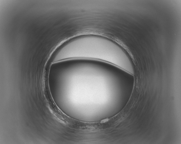 X0000081570580200701151028