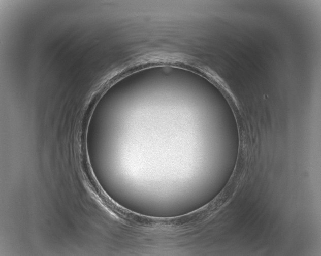 X0000081570581200701151028