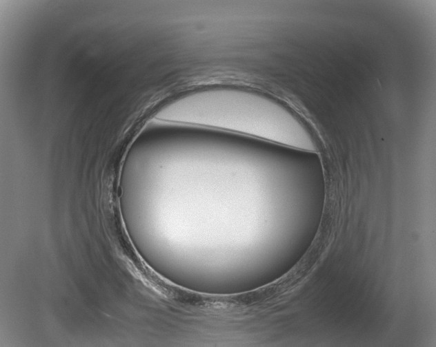 X0000081570585200701151028