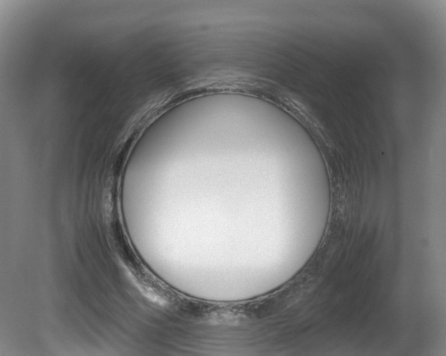 X0000081570586200701151028