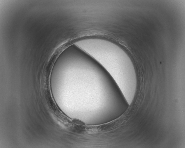 X0000081570587200701151028