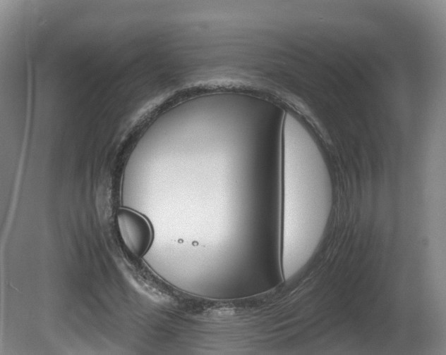 X0000081570588200701151028