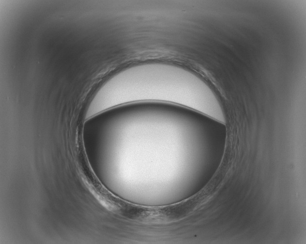 X0000081570589200701151028