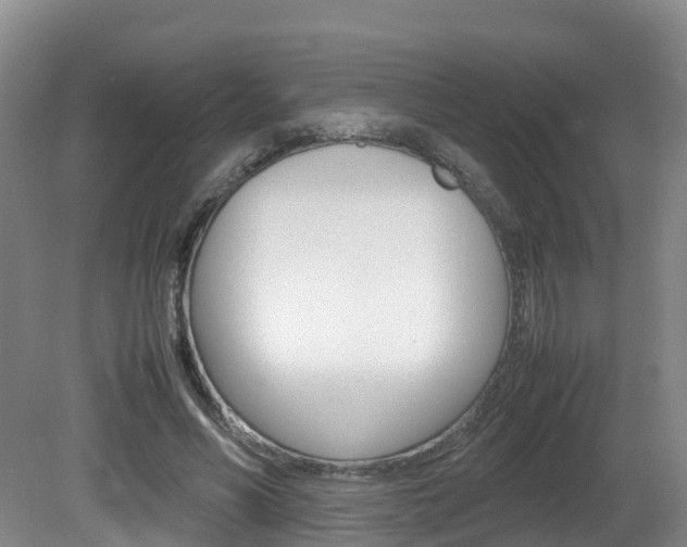X0000081570590200701151028