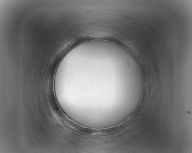 X0000081570591200701151028