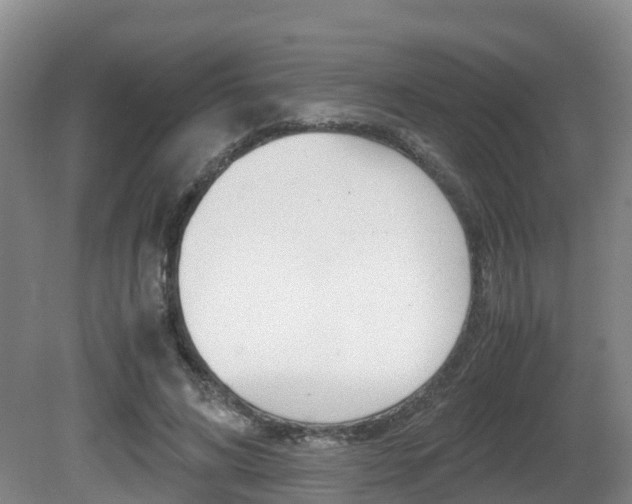 X0000081570592200701151028
