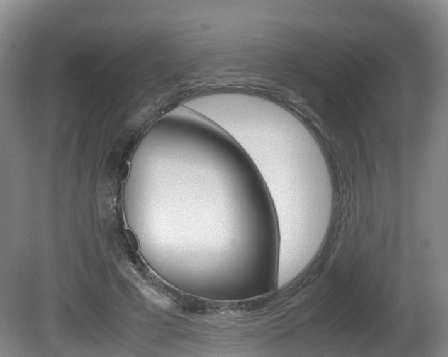 X0000081570593200701151028