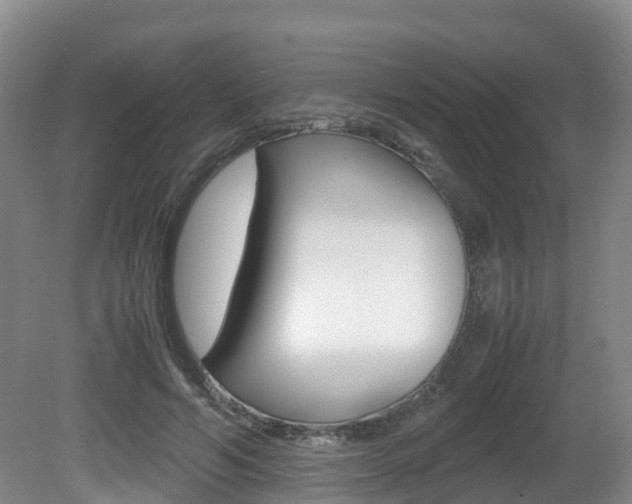 X0000081570594200701151028