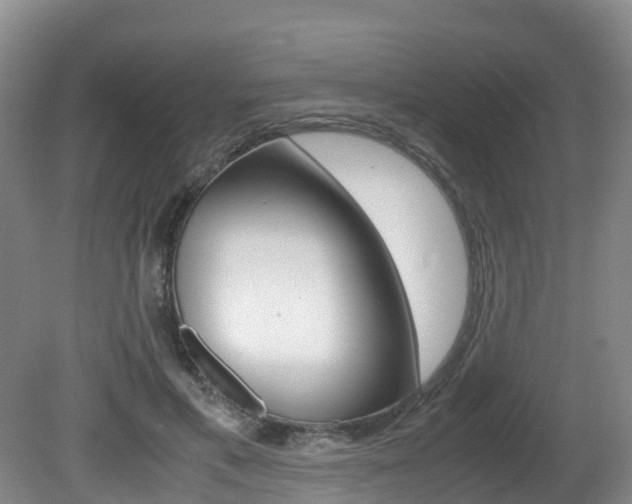 X0000081570597200701151028