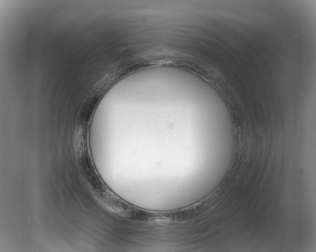 X0000081570598200701151028