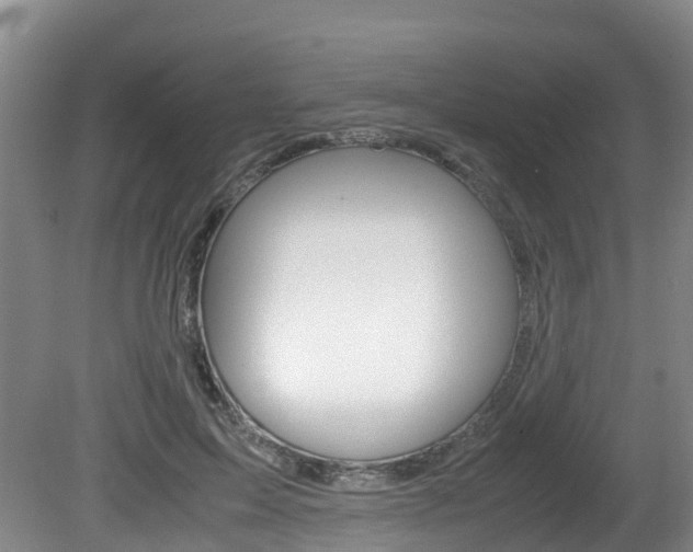 X0000081570599200701151028