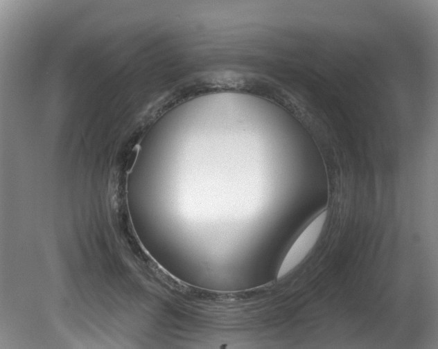 X0000081570600200701151028