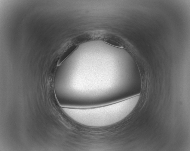 X0000081570601200701151028