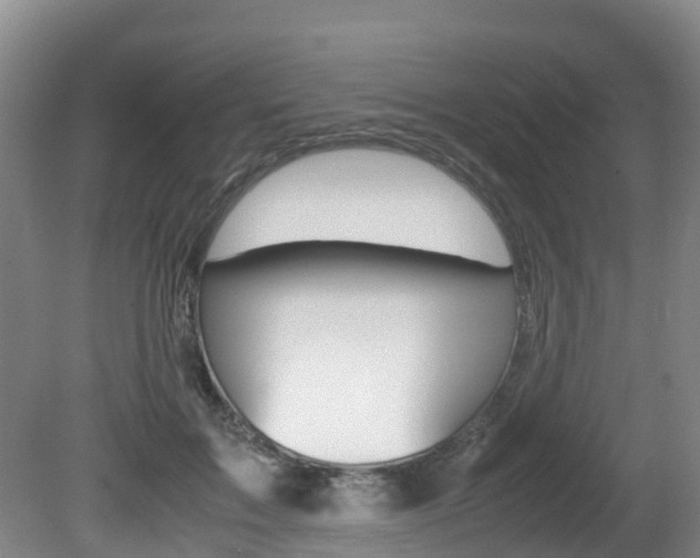 X0000081570603200701151028
