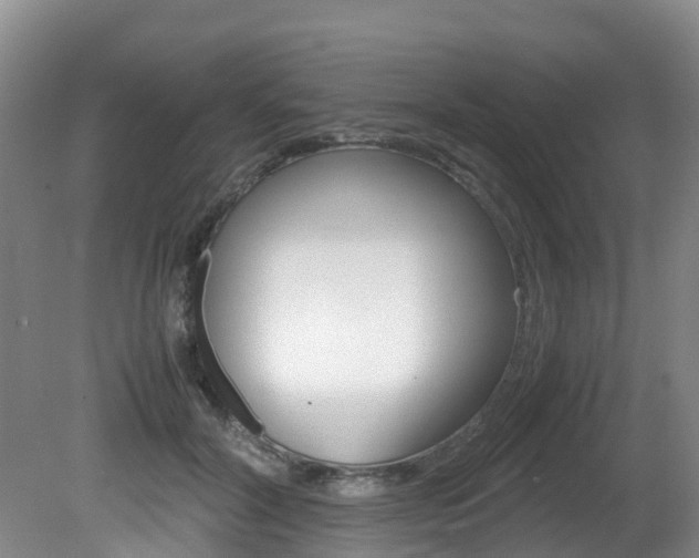 X0000081570604200701151028