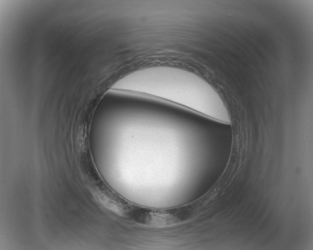 X0000081570605200701151028