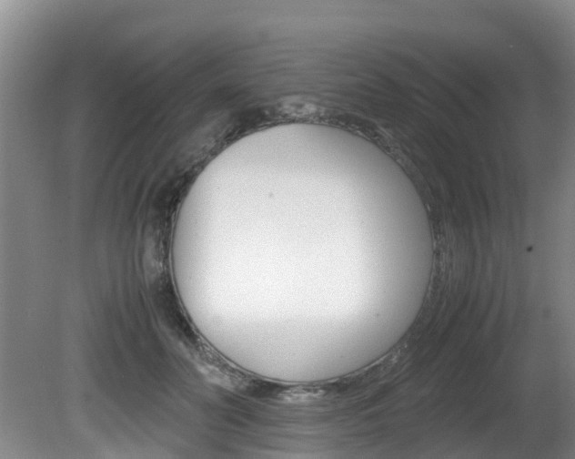 X0000081570606200701151027