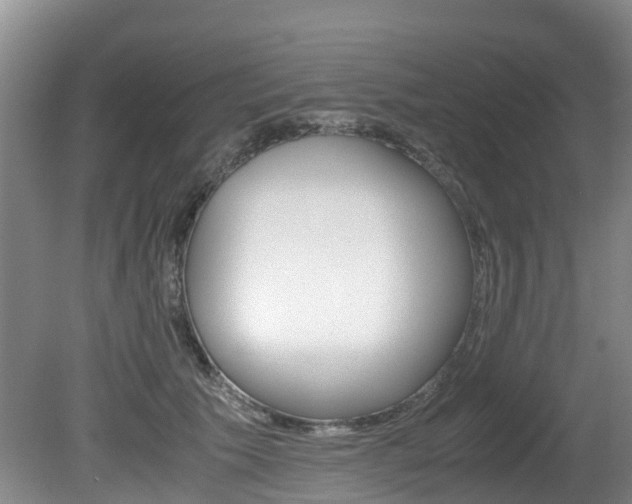 X0000081570609200701151027