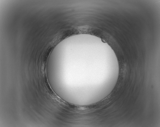 X0000081570610200701151027