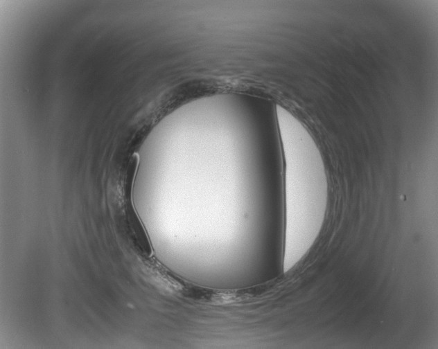 X0000081570613200701151027
