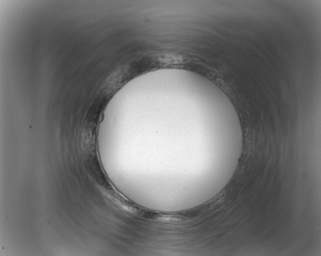 X0000081570614200701151027