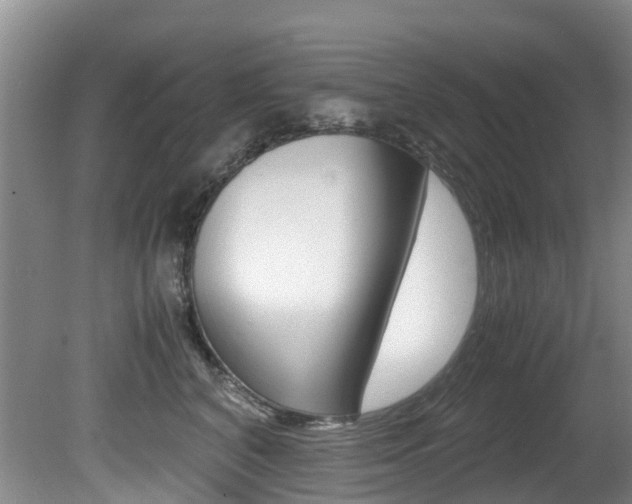 X0000081570616200701151027