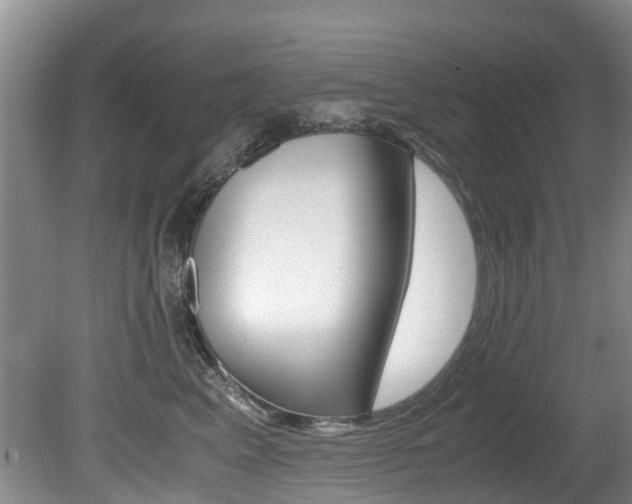 X0000081570617200701151027