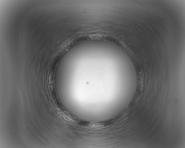 X0000081570619200701151027