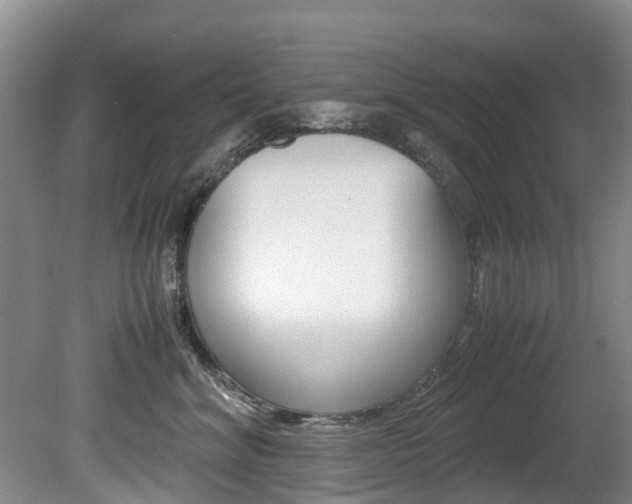 X0000081570620200701151027