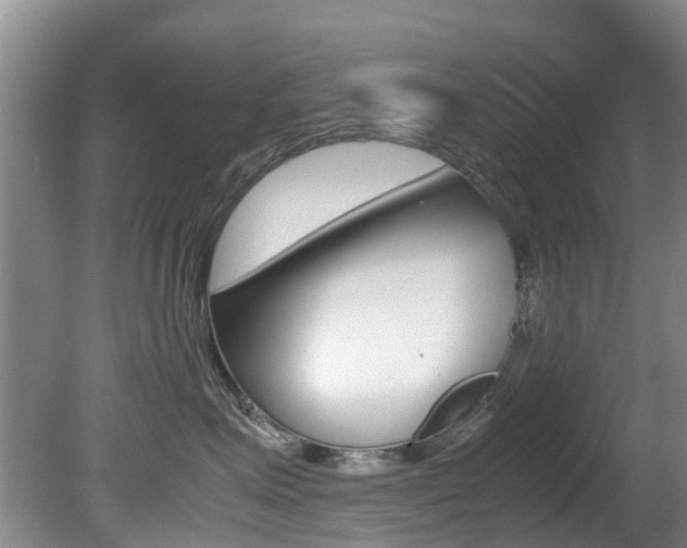 X0000081570623200701151027