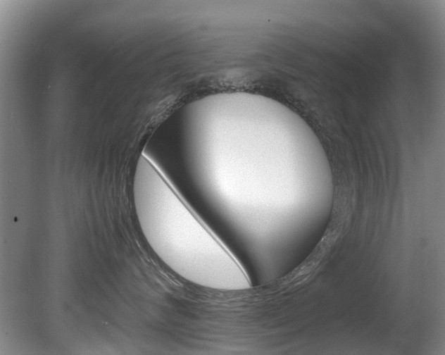 X0000081570624200701151027